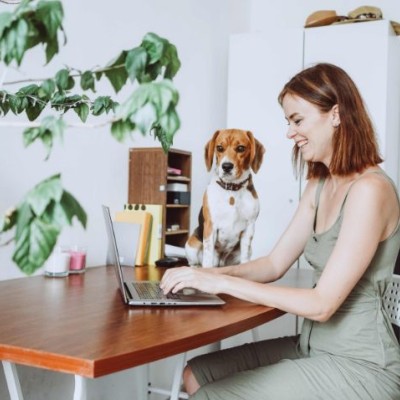 5 checks to help make sure your landlord insurance covers you for the most common tenant claims