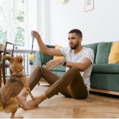 What property damage from pets and kids is covered by landlord insurance?