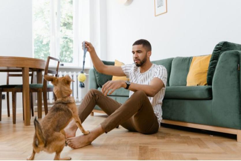 What property damage from pets and kids is covered by landlord insurance?